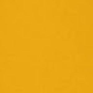 Meet your Posher, Daryl